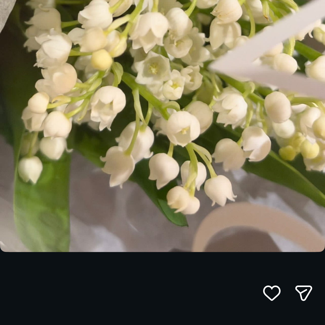 Foto aktivitas terbaru BLACKPINK