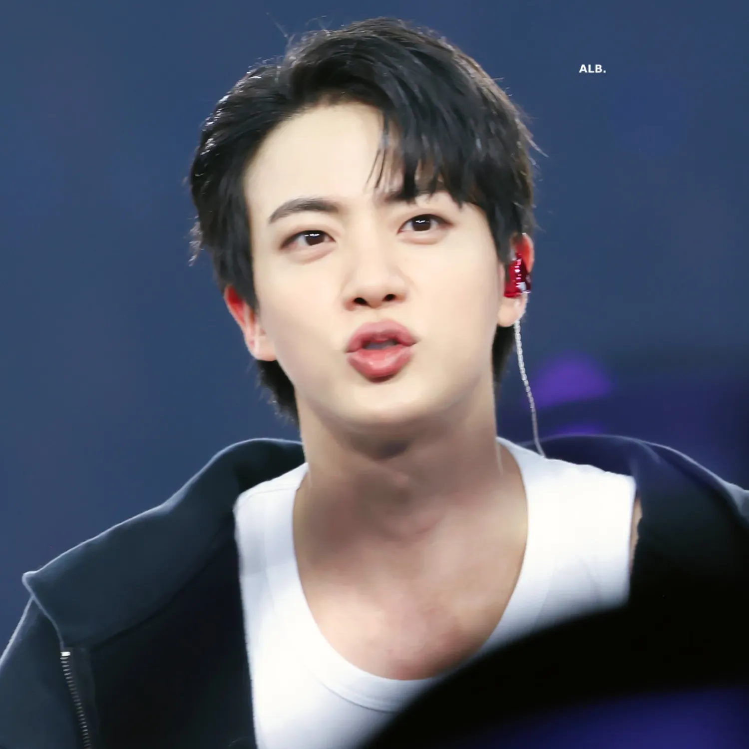 진 (방탄소년단) 팬이 찍은 순간