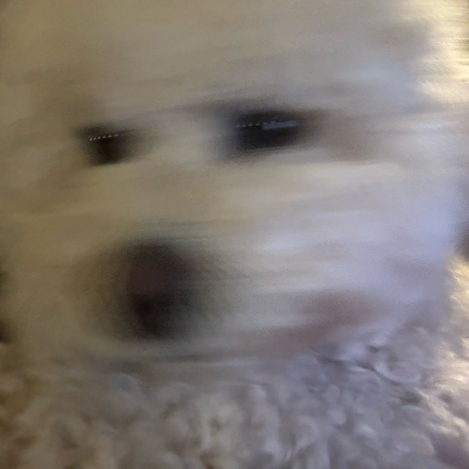 A moment captured by Stray Kids's fan