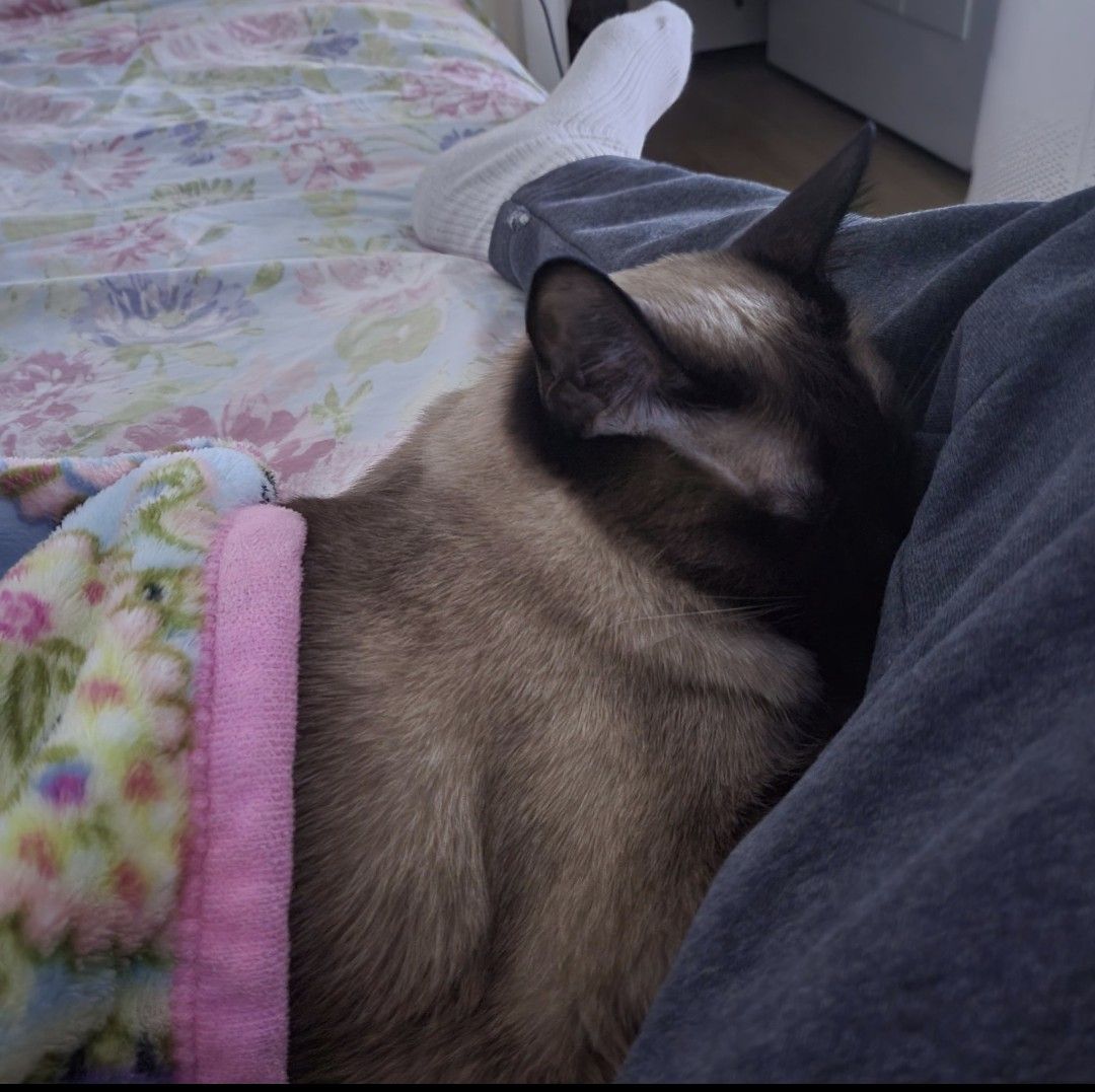 Latest photo of Moonbin (ASTRO)