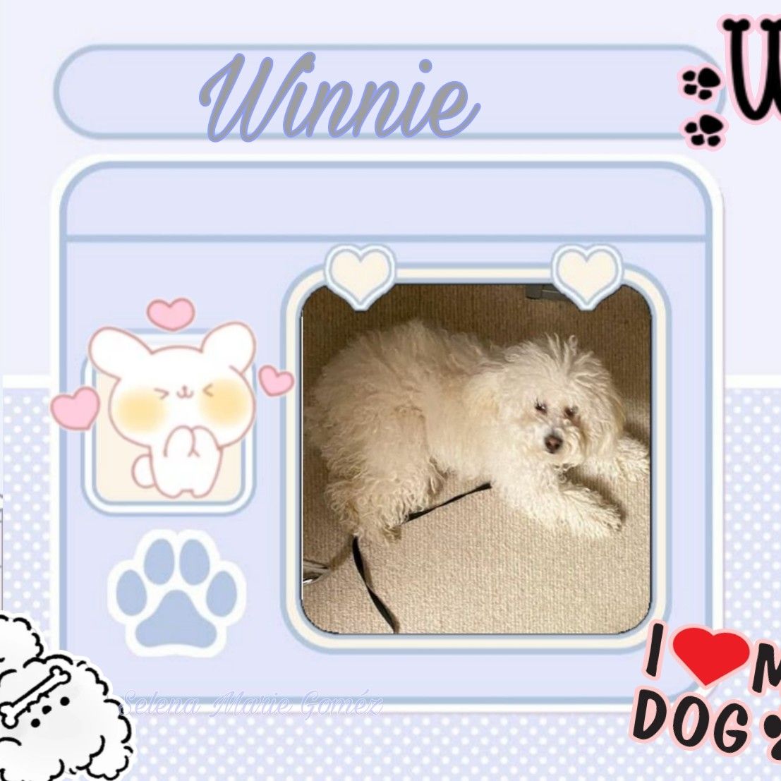 Latest photo of Selena Gomez