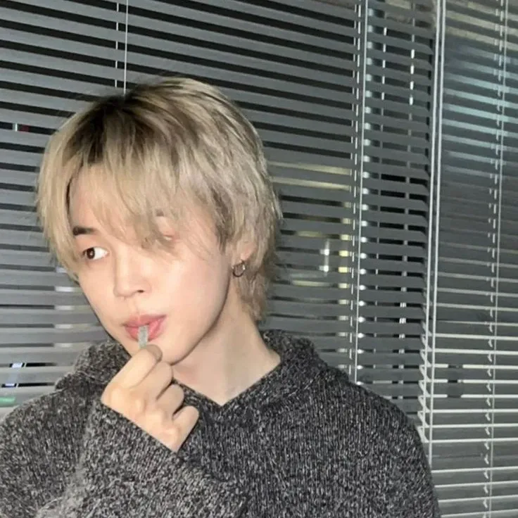 지민 (방탄소년단) 팬이 찍은 순간