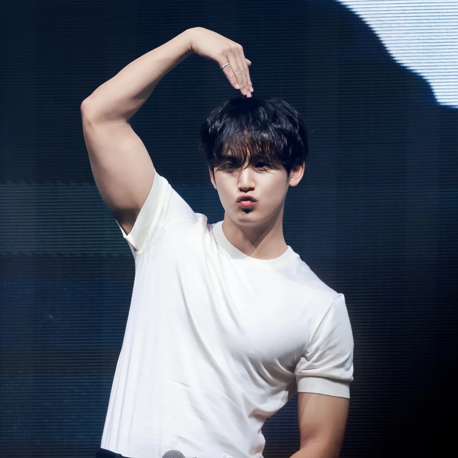 A moment captured by Mingyu (SEVENTEEN)'s fan