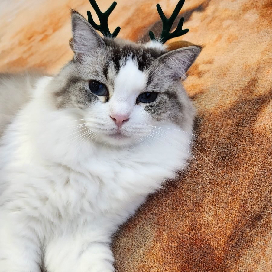 Recent activity shot of Jaemin (NCT DREAM)