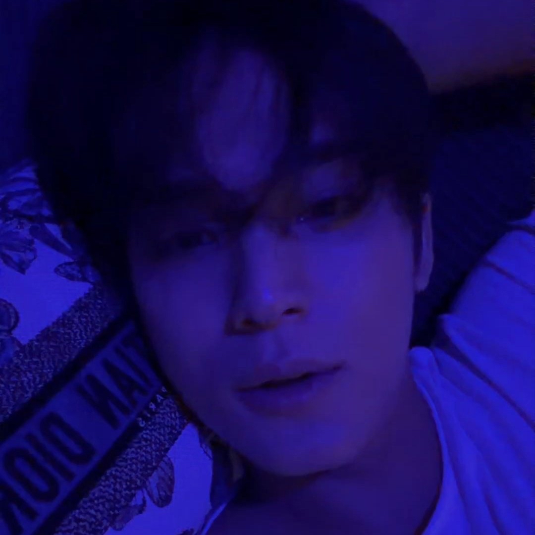 세븐틴 팬이 찍은 순간