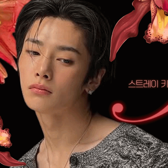 A moment captured by I.N (Stray Kids)'s fan