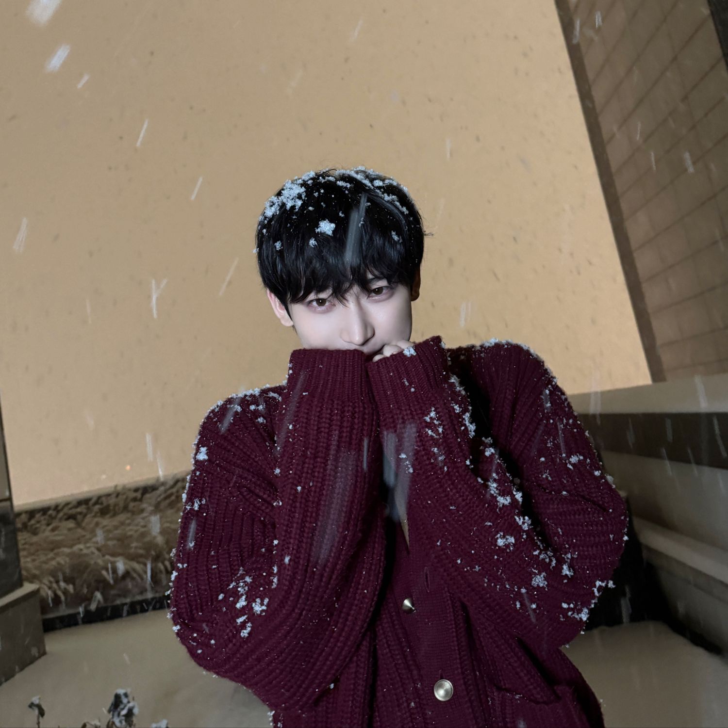 선우 (ENHYPEN) 팬이 찍은 순간