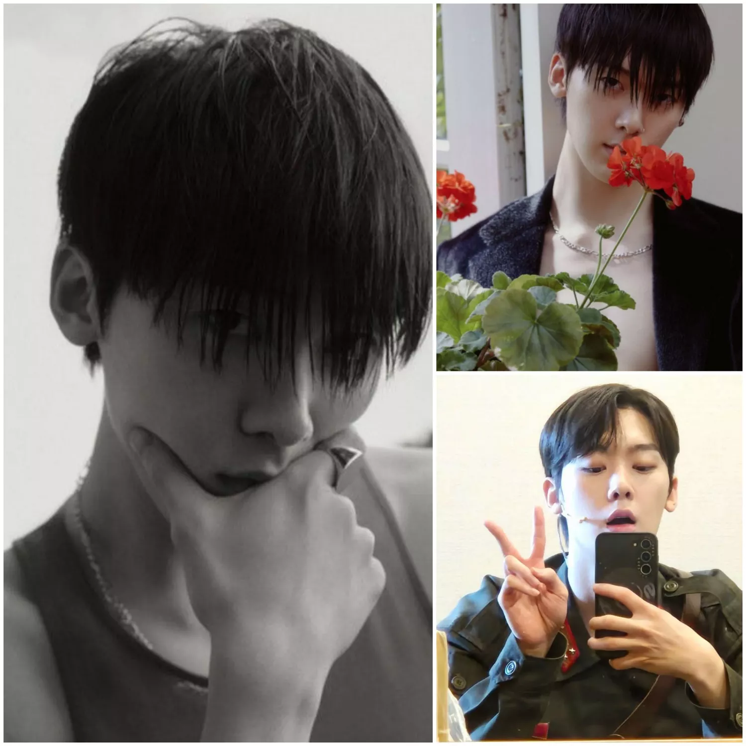 아스트로의 최신 사진