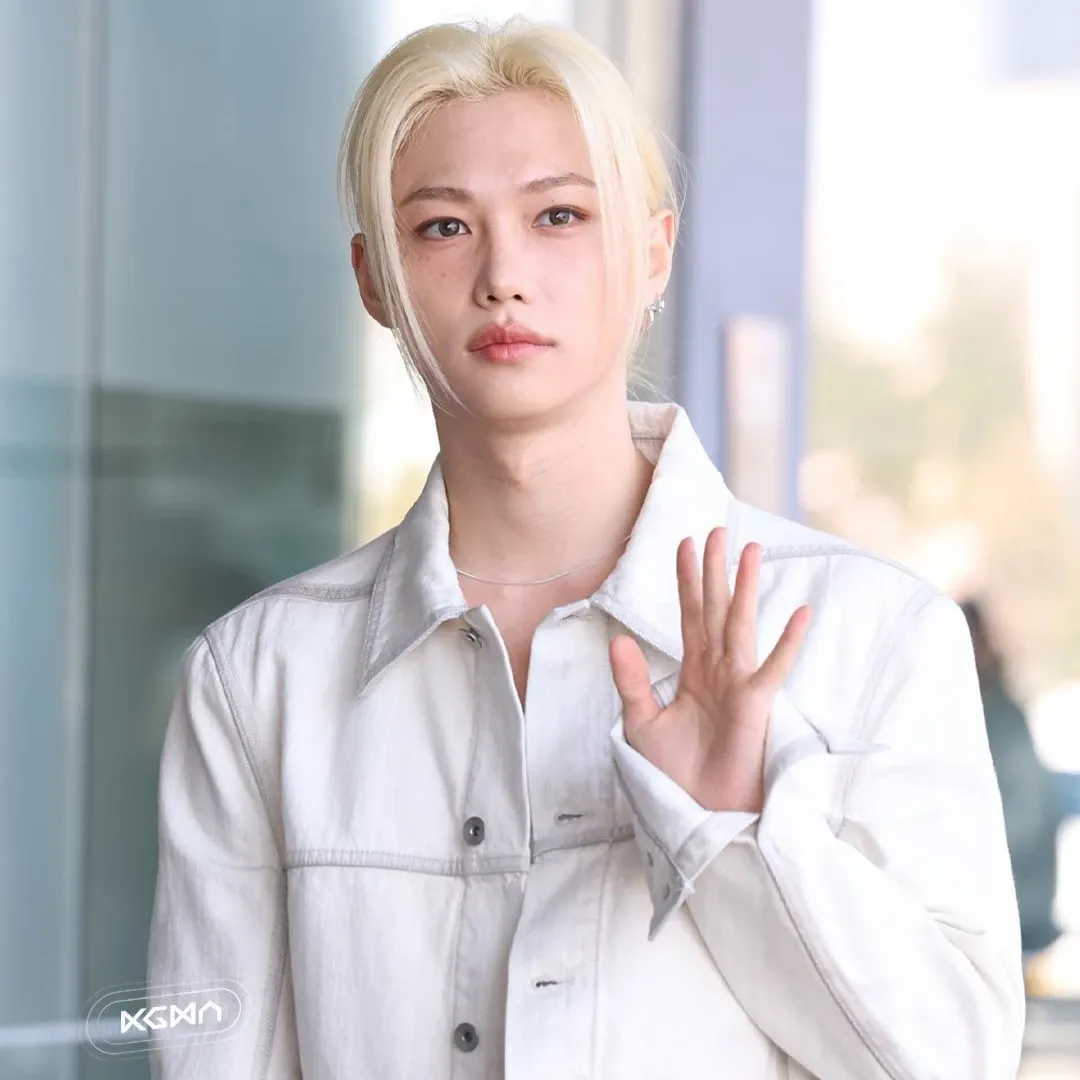 Momen yang diabadikan oleh penggemar Stray Kids