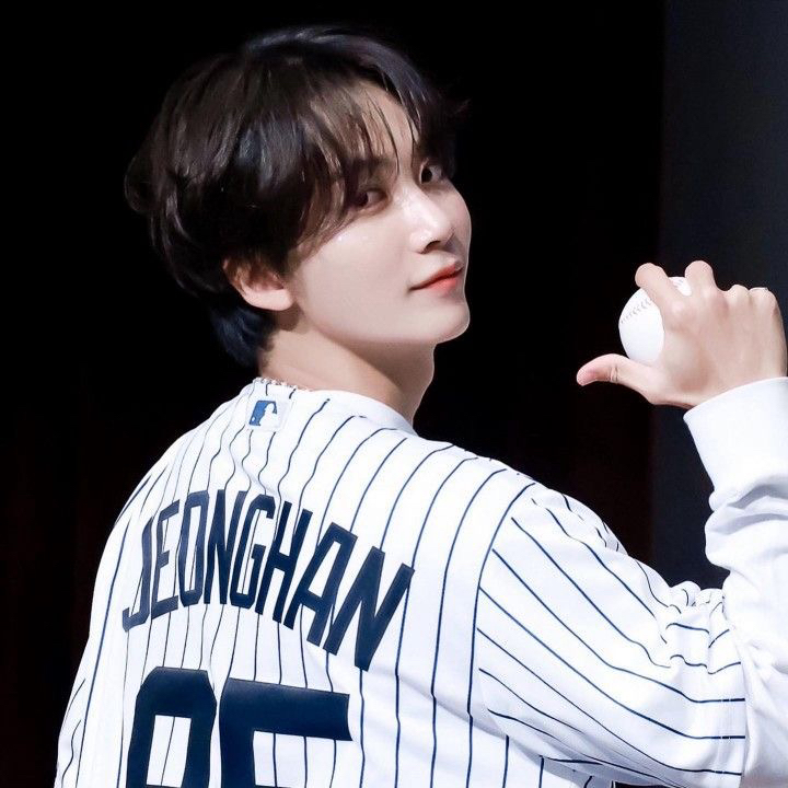 세븐틴 팬이 찍은 순간