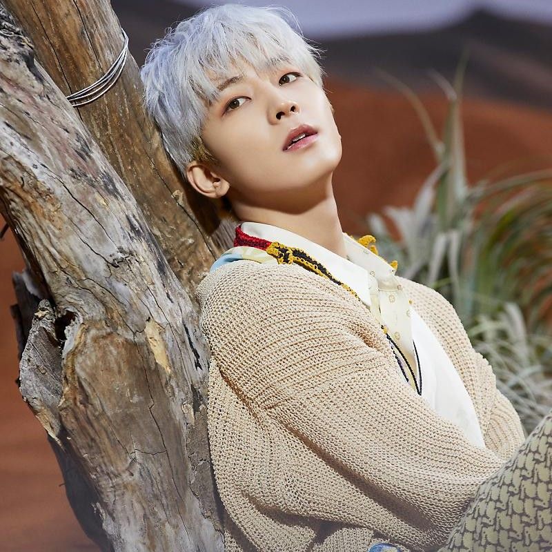 A moment captured by Wonwoo (SEVENTEEN)'s fan