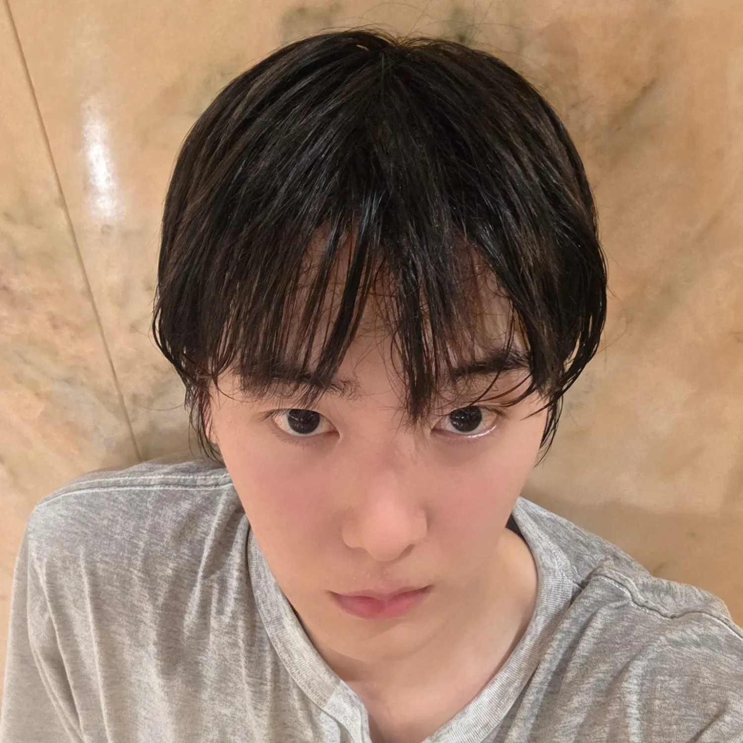 아스트로의 최신 사진