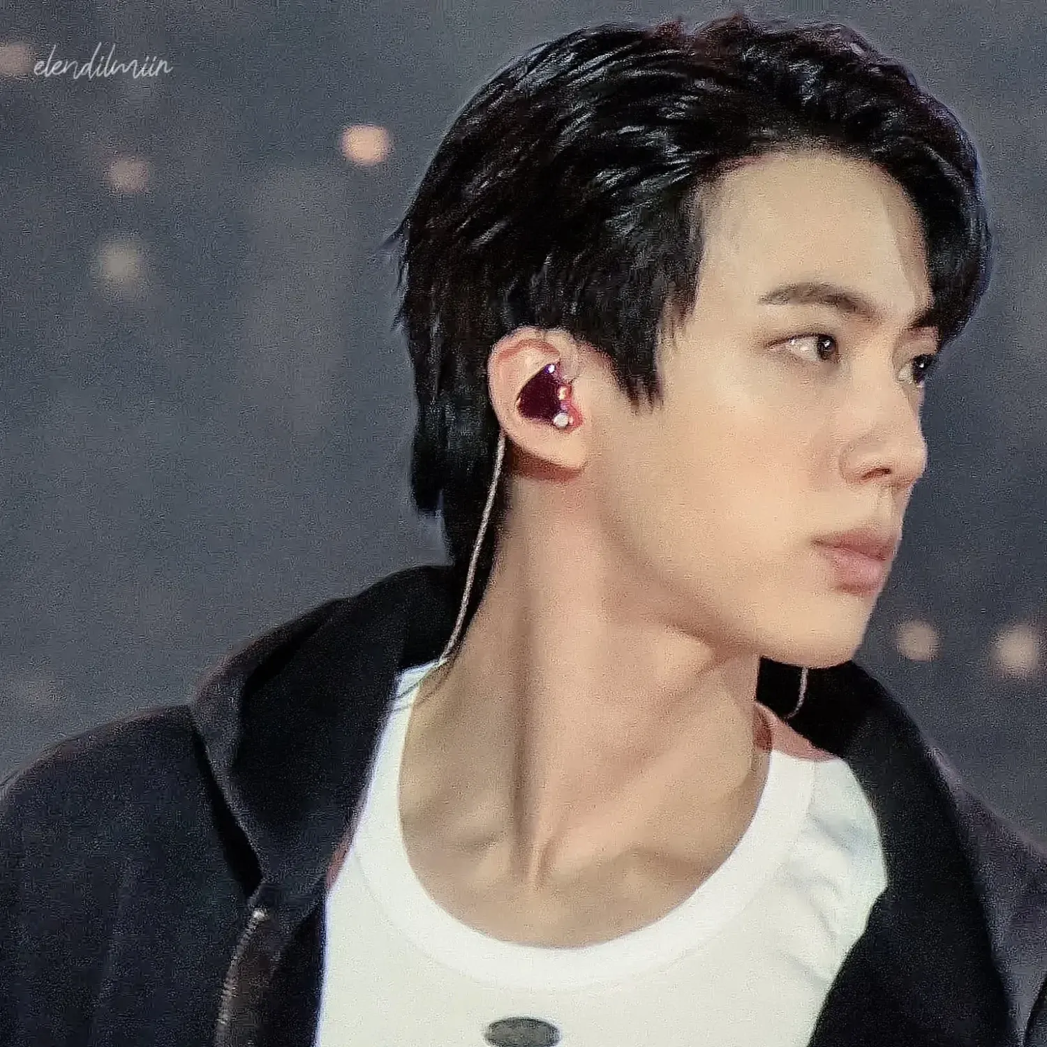A moment captured by Jin (BTS)'s fan