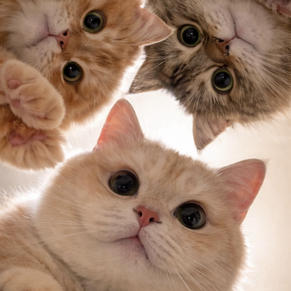 SUGA (防弹少年团)的最新活动照片