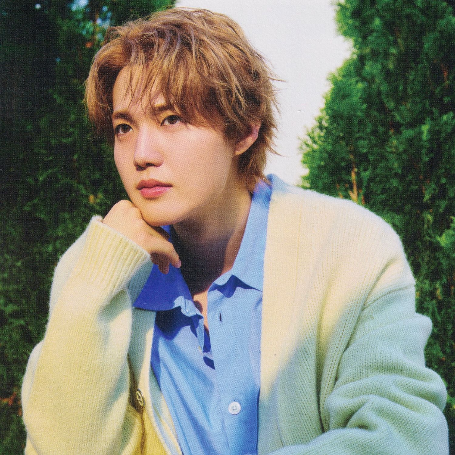 Recent activity shot of Doyoung (TREASURE)