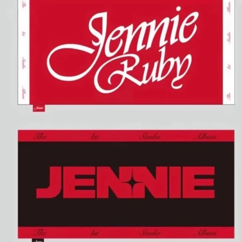 BLACKPINK粉絲拍下的瞬間