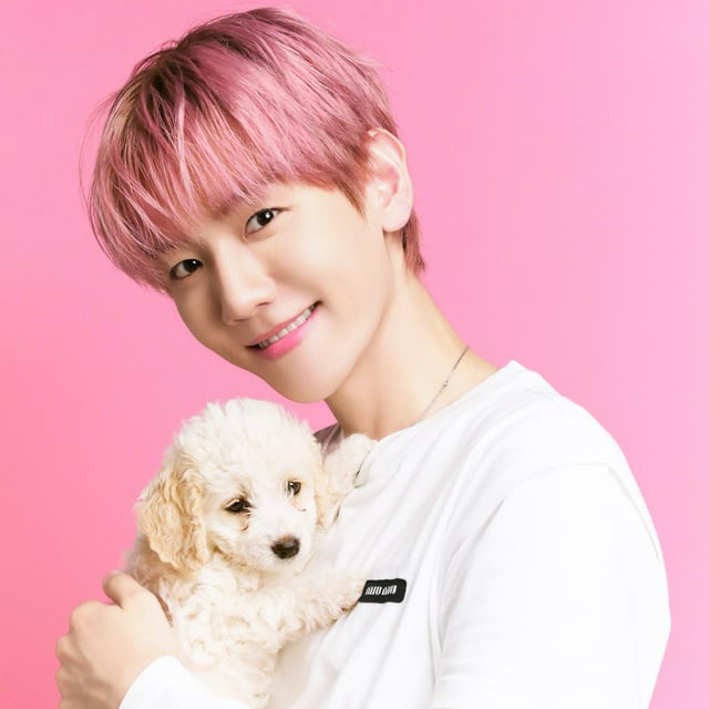 백현 (EXO) 팬이 찍은 순간