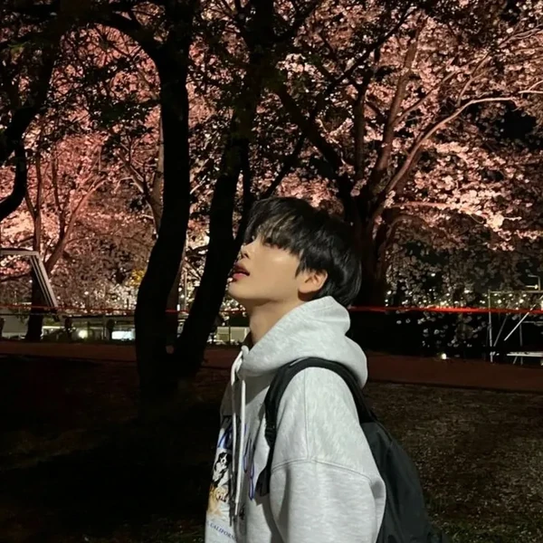 粉丝喜爱的CRAVITY人气头像