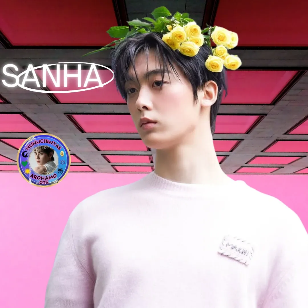 A moment captured by Sanha (ASTRO)'s fan