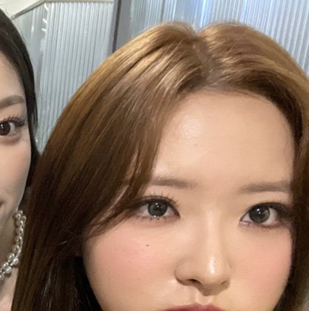 A moment captured by Loossemble's fan