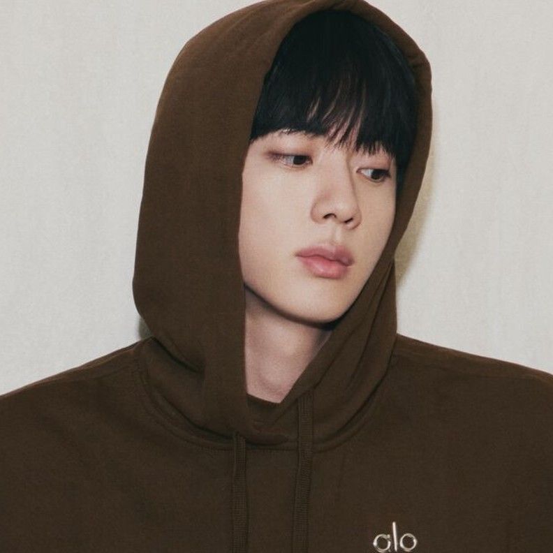 진 (방탄소년단) 팬이 찍은 순간