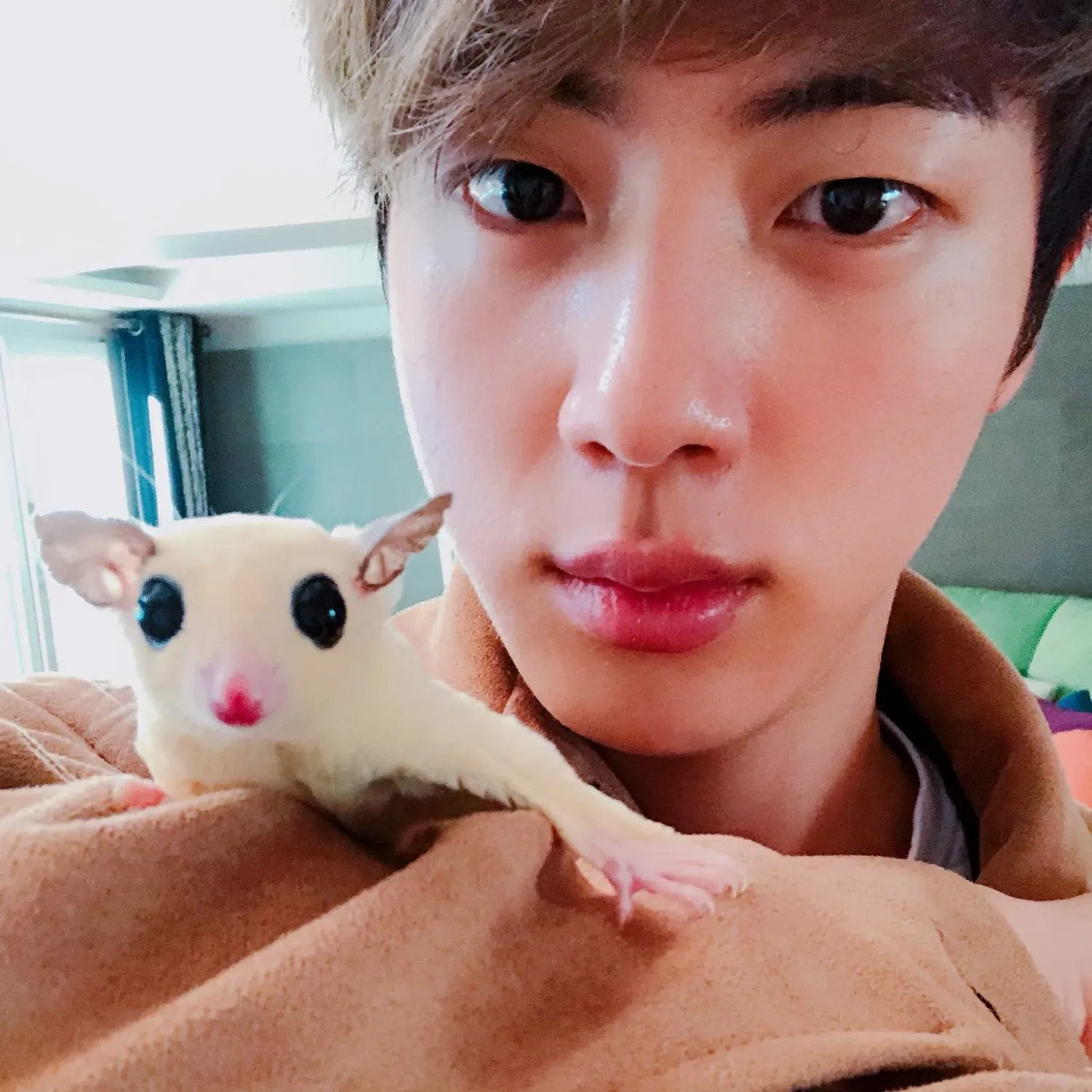 진 (방탄소년단)의 최신 사진