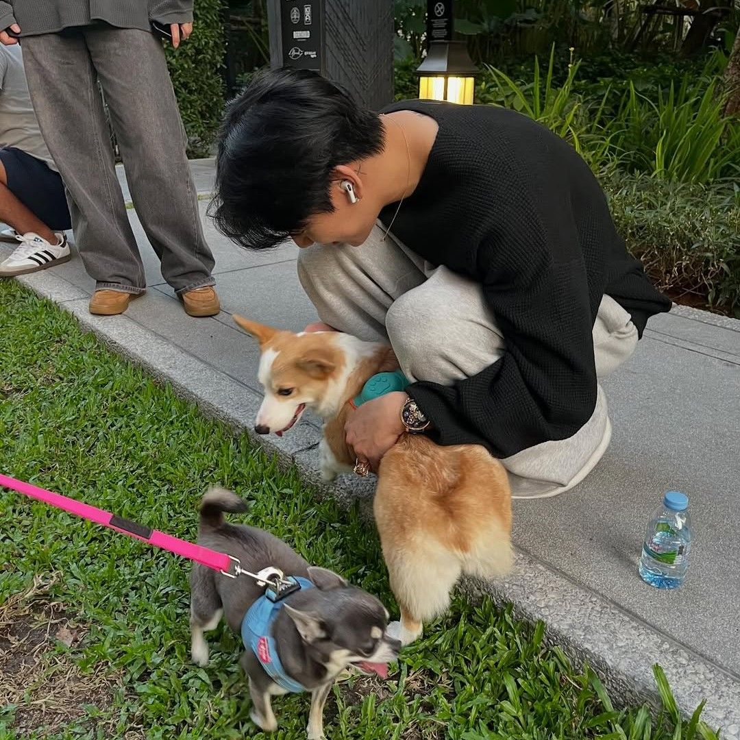 Latest photo of Bambam (GOT7)