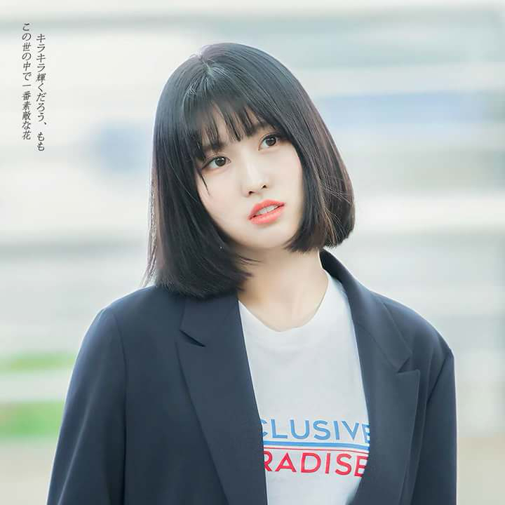 TWICE의 최신 사진