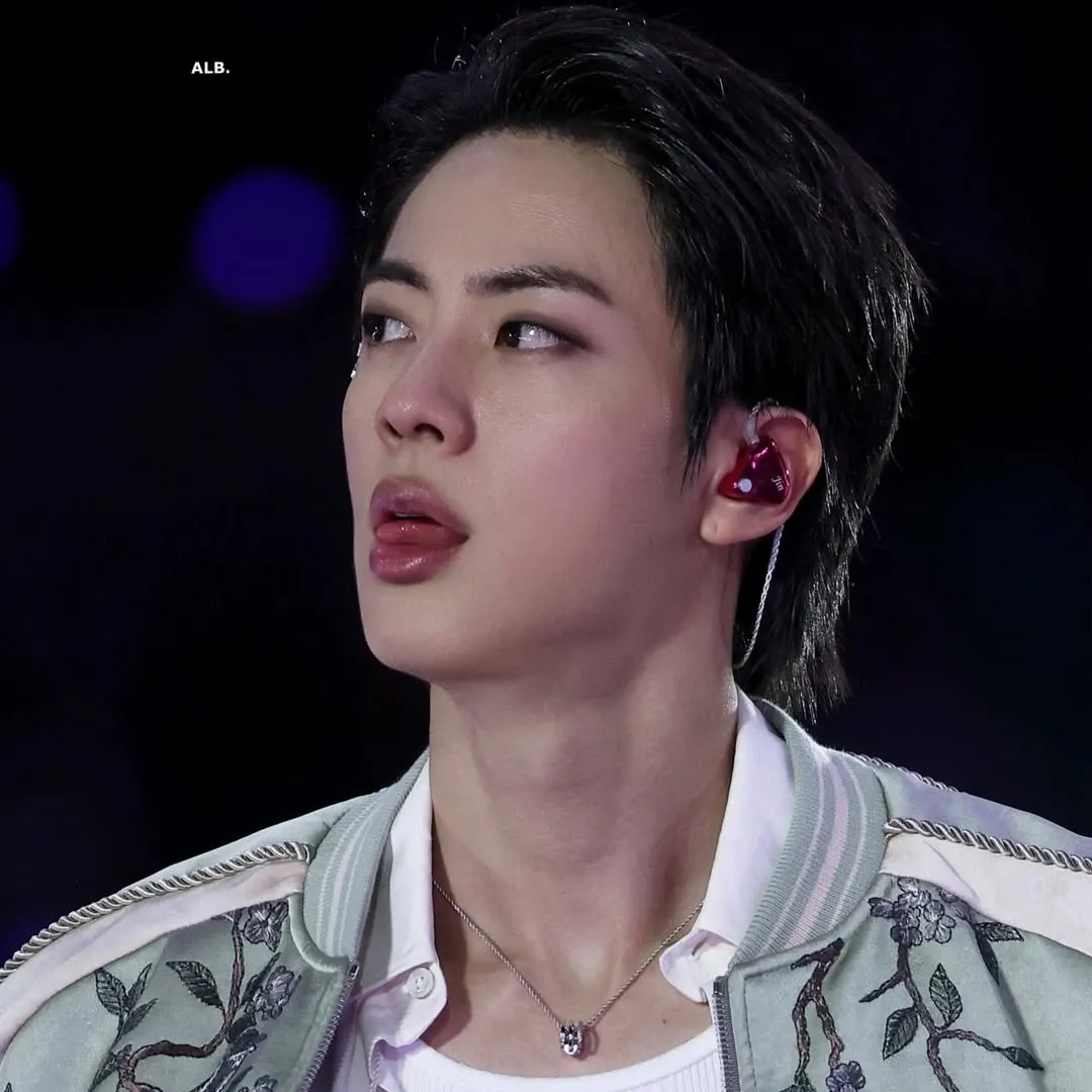 A moment captured by Jin (BTS)'s fan
