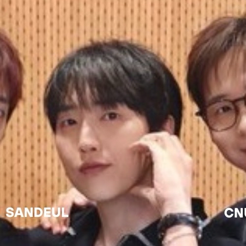 Recent activity shot of B1A4