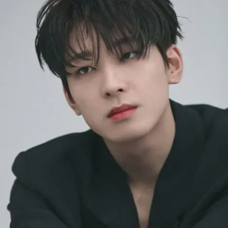 Recent activity shot of Wonwoo (SEVENTEEN)