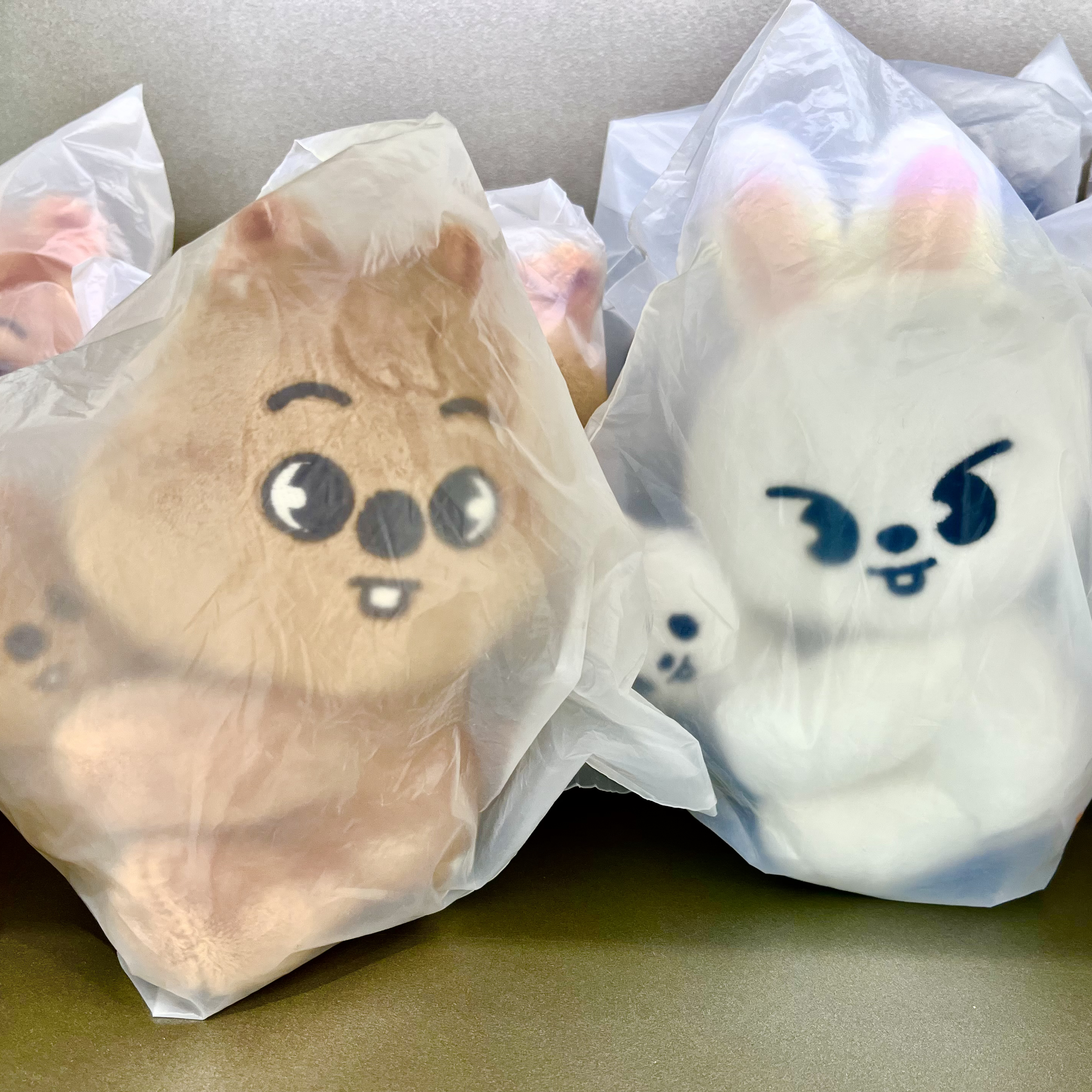 Stray Kids 최근 활동샷