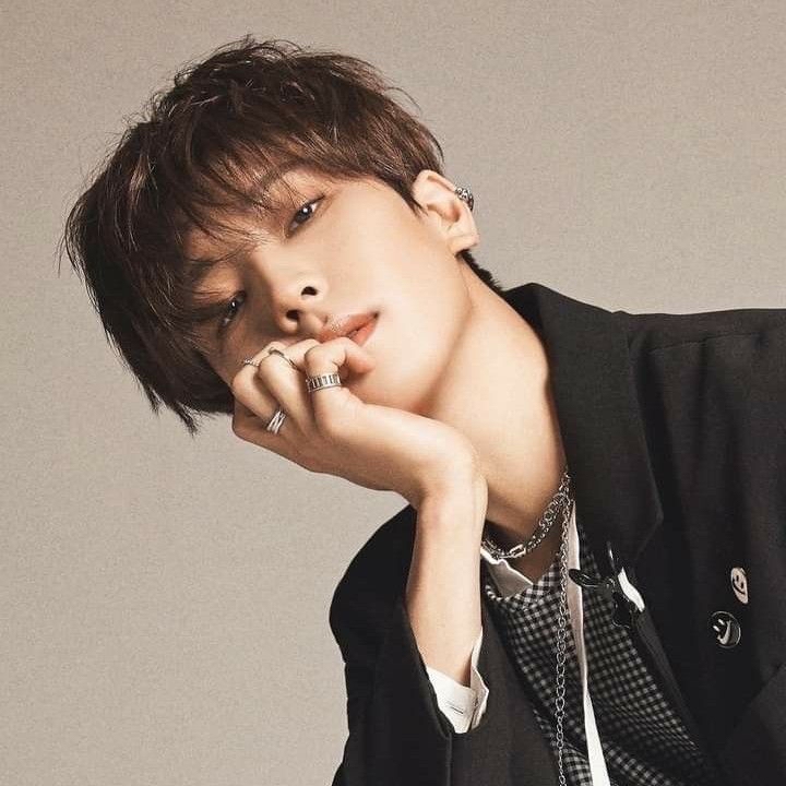 A moment captured by Wonwoo (SEVENTEEN)'s fan