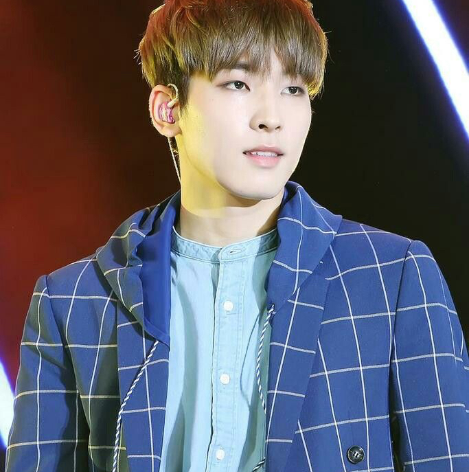 원우 (세븐틴) 팬이 찍은 순간