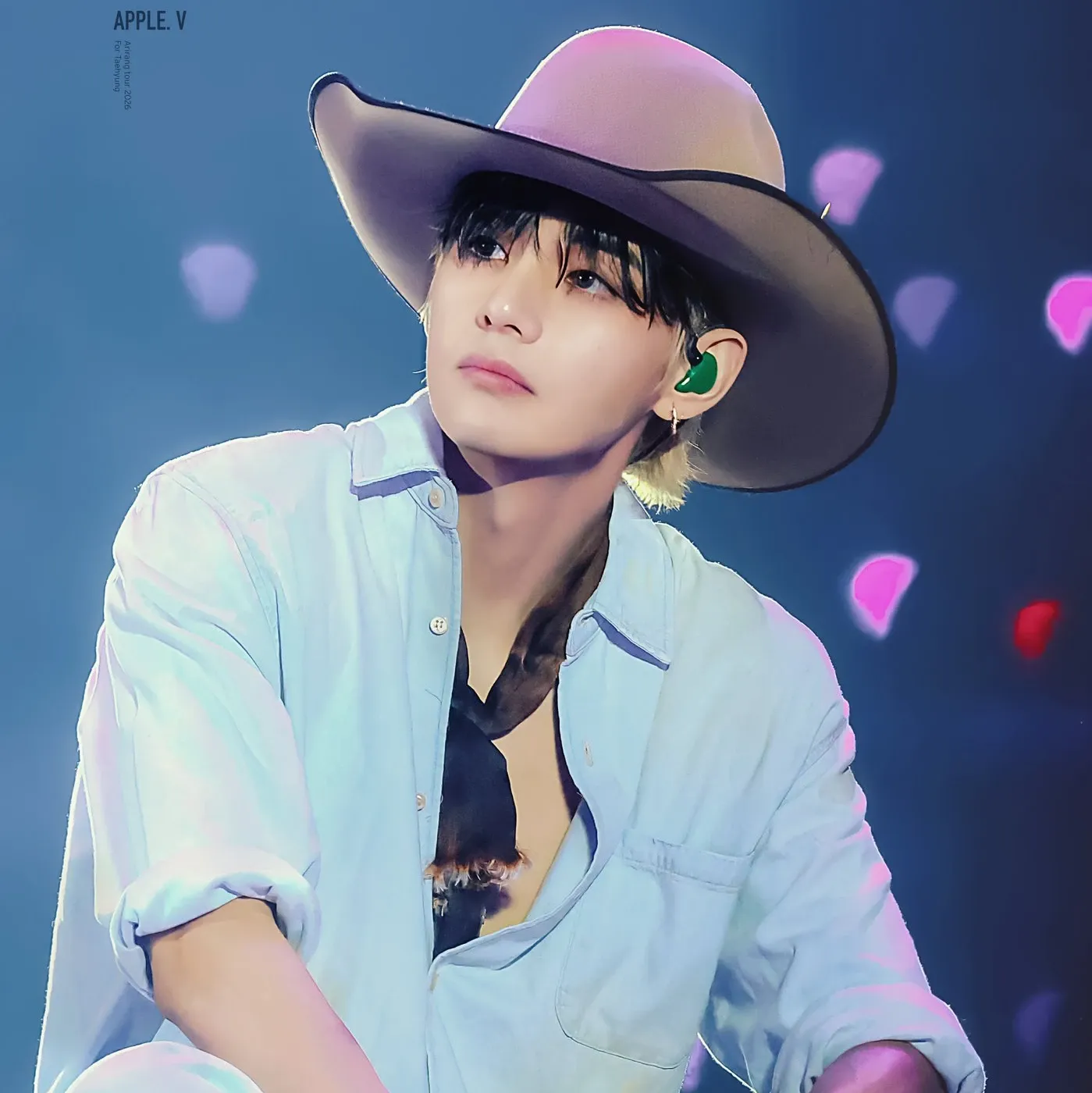 뷔 (방탄소년단) 팬이 찍은 순간