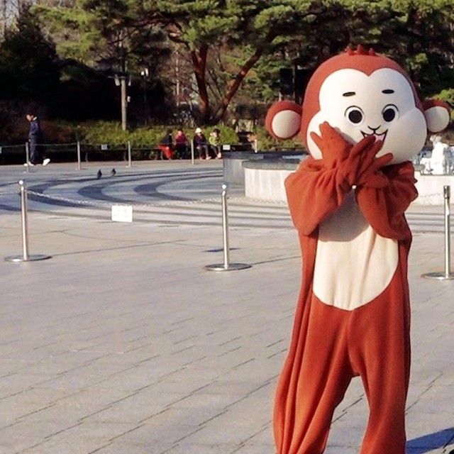 A moment captured by MAMAMOO's fan