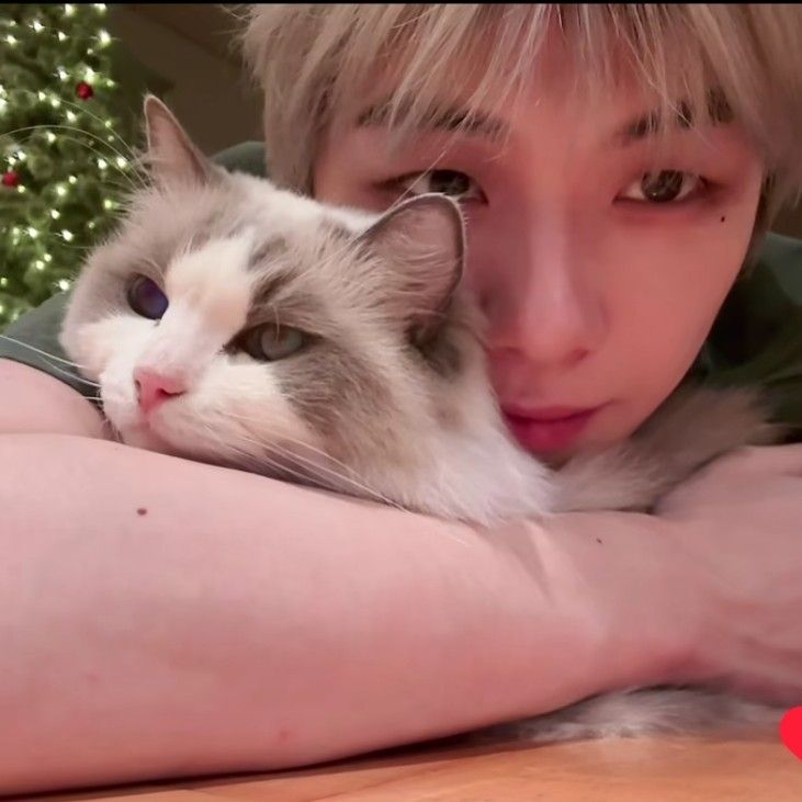 강다니엘의 최신 사진