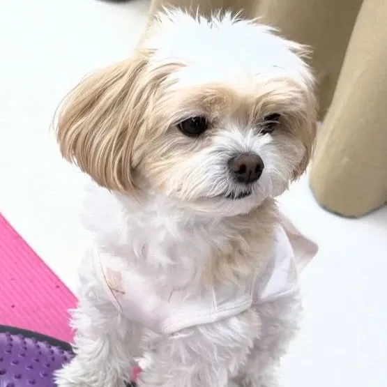 Behind-the-scenes cut of Chanyeol (EXO)