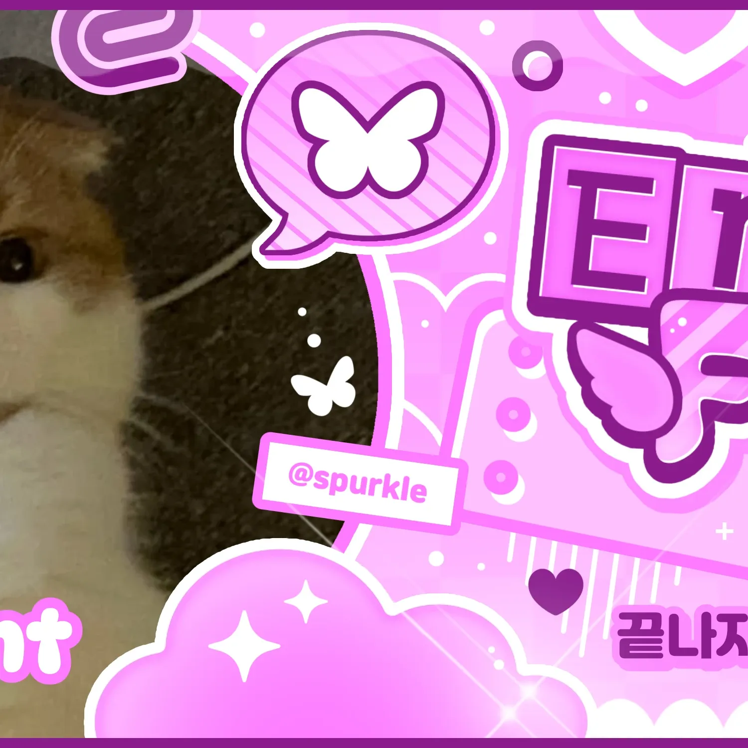 A moment captured by Wheein (MAMAMOO)'s fan