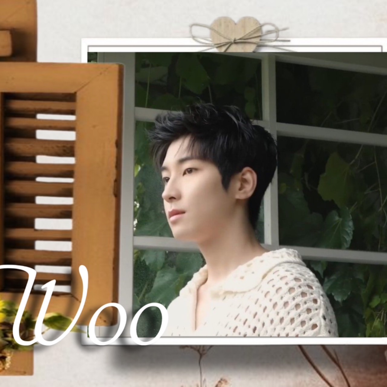 Recent activity shot of Wonwoo (SEVENTEEN)