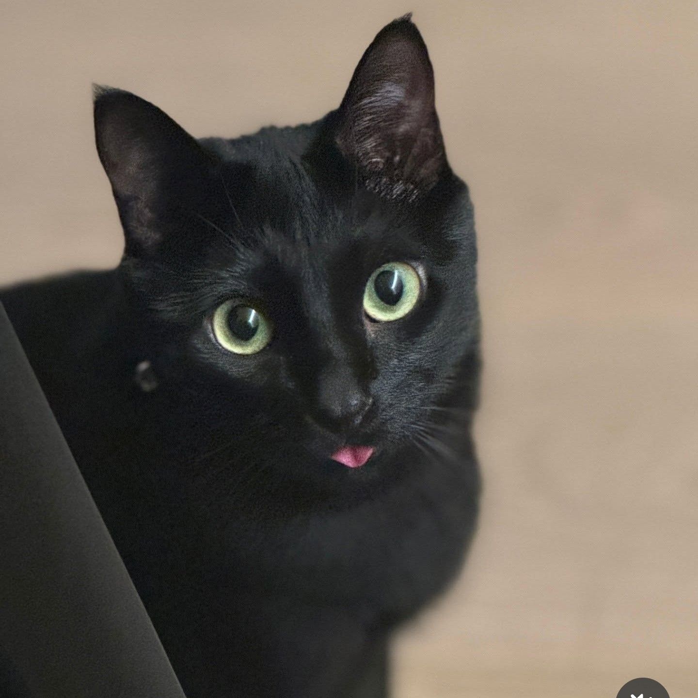 SUGA (BTS)の最近の活動写真