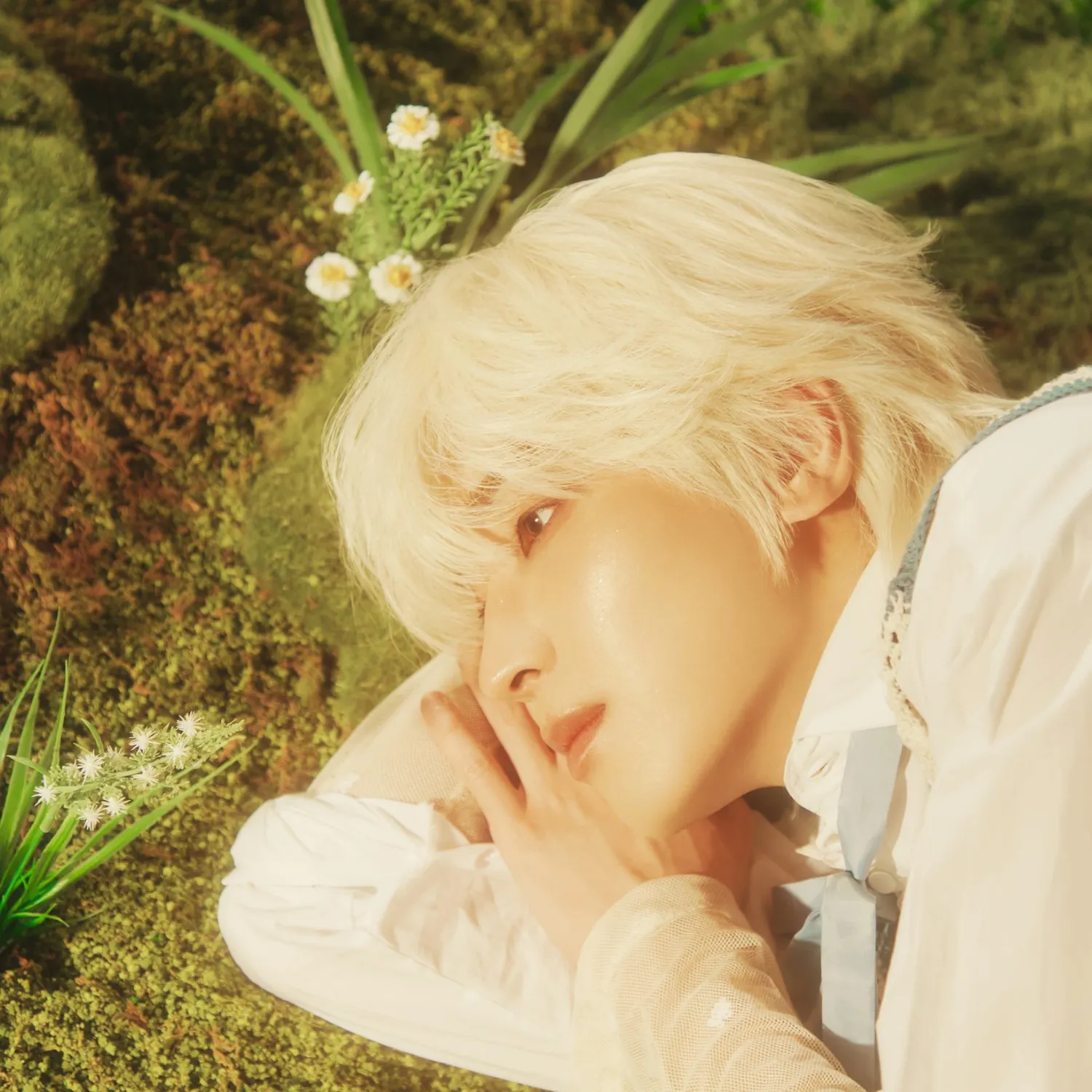 원우 (세븐틴)의 비하인드 컷