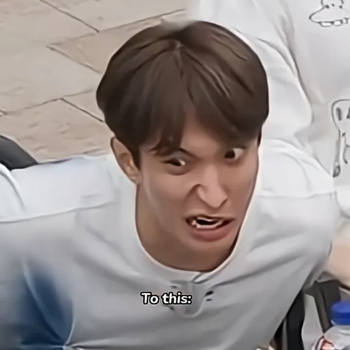 세븐틴 팬이 찍은 순간