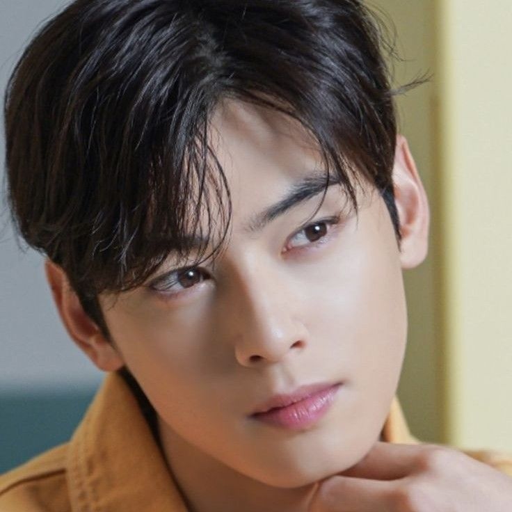 A moment captured by Eunwoo (ASTRO)'s fan