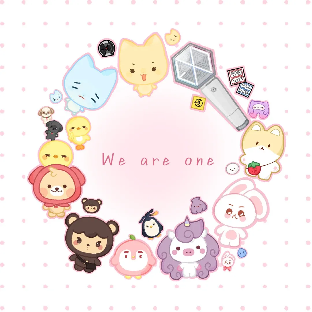 EXO 팬이 찍은 순간