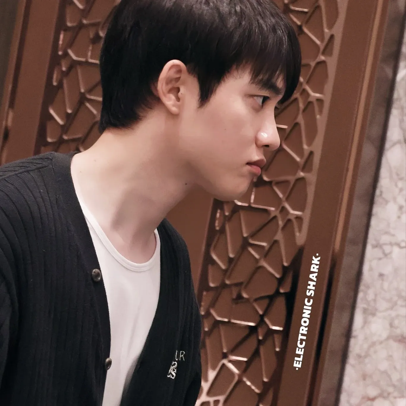 Foto aktivitas terbaru D.O. (EXO)