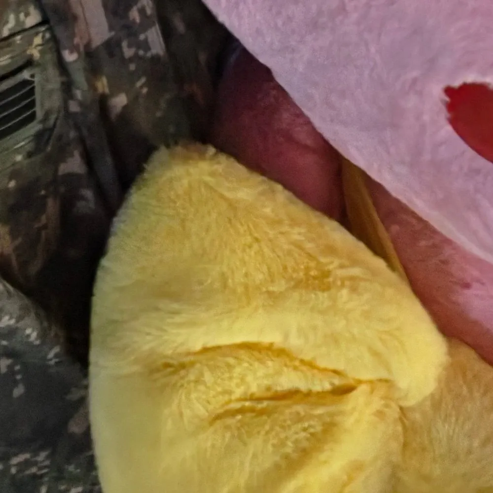 Recent activity shot of Seoho (ONEUS)