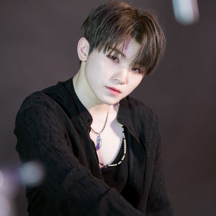 A moment captured by Woozi (SEVENTEEN)'s fan