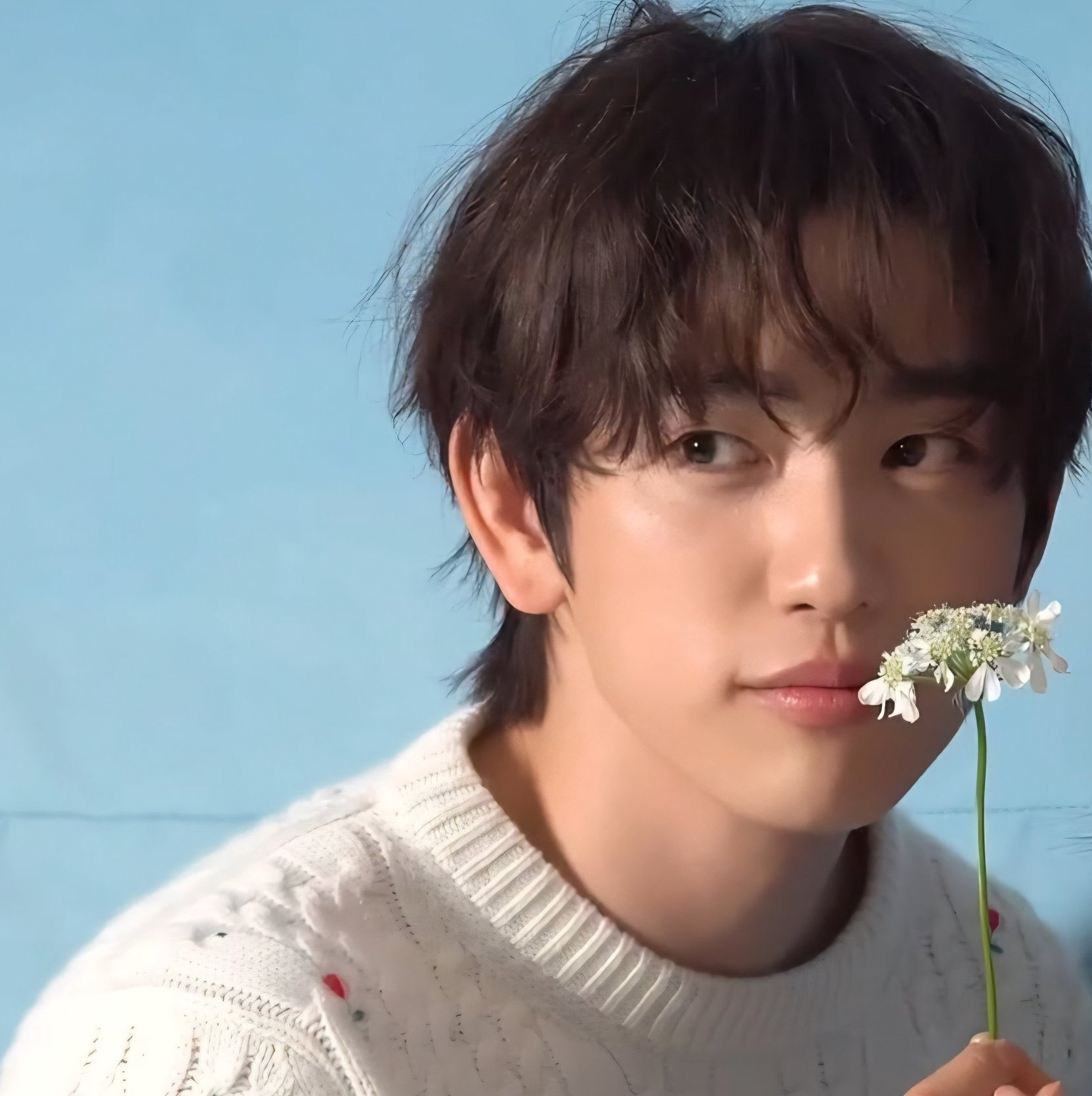 GOT7 팬이 찍은 순간