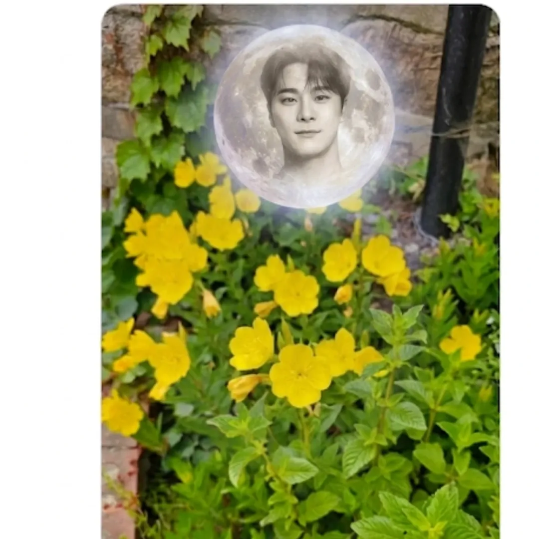 Latest photo of Moonbin (ASTRO)